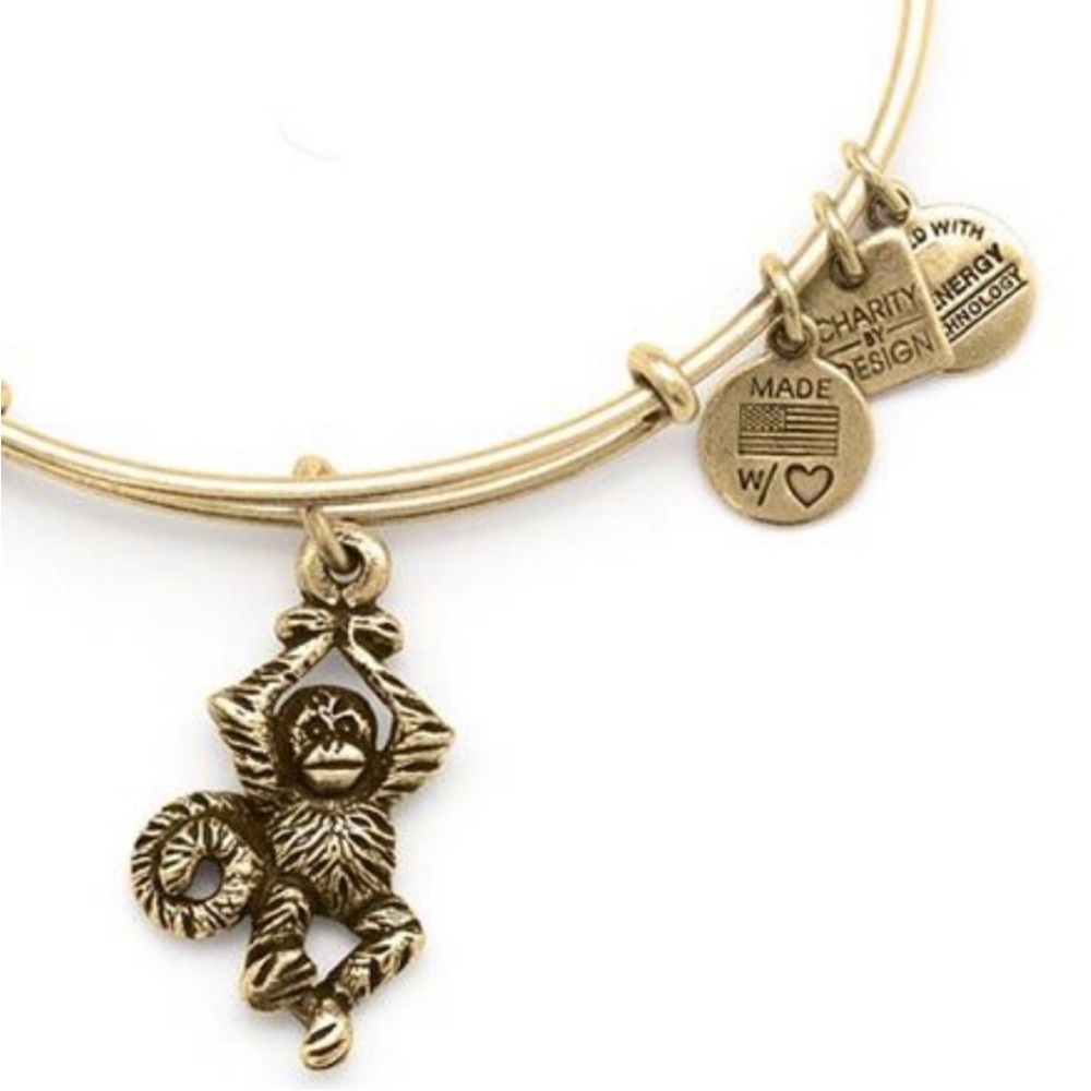 🐒 Alex & Ani Charity By Design Monkey Bracelet 🐵